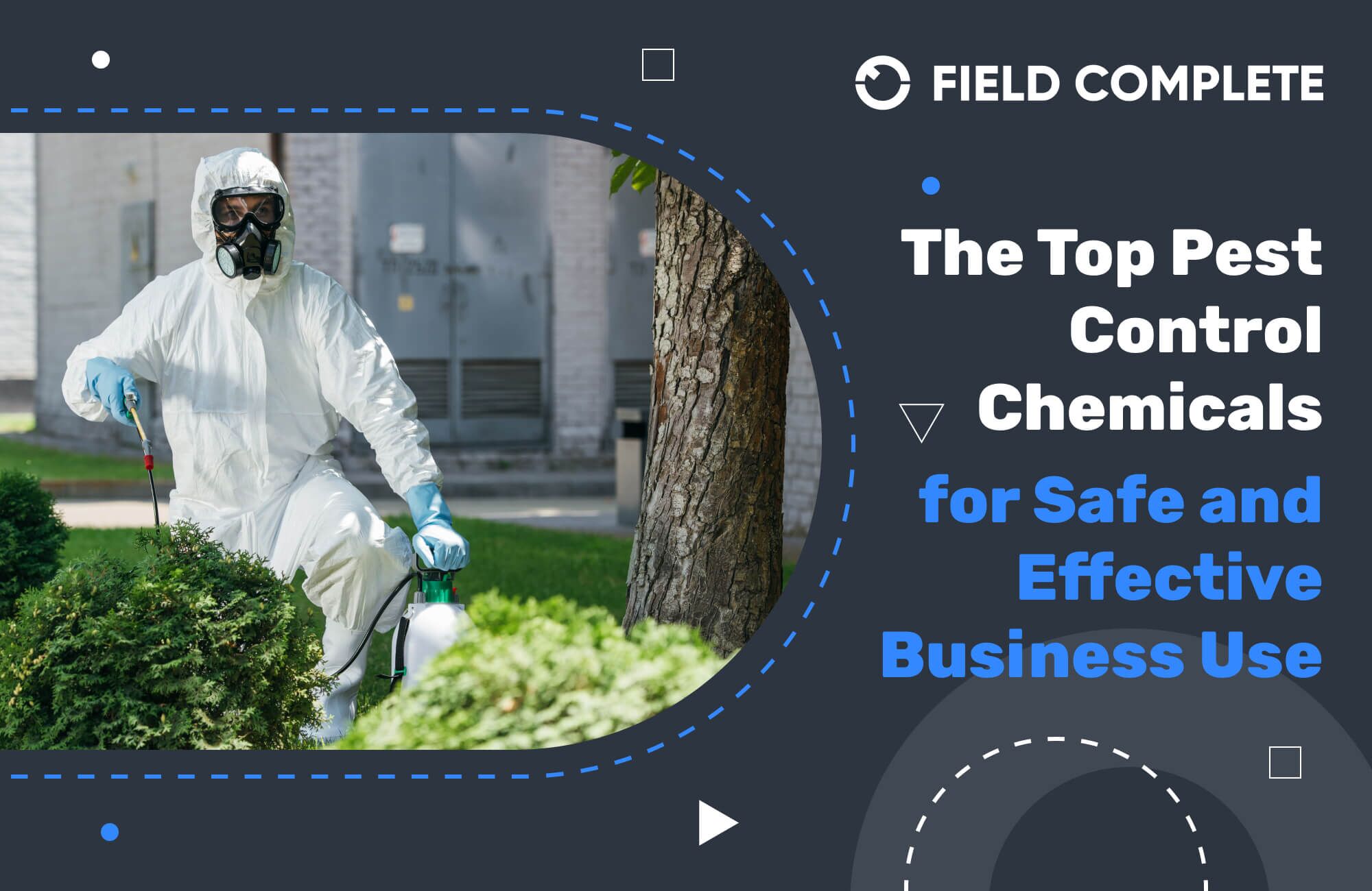 The Top Pest Control Chemicals for Safe and Effective Business Use